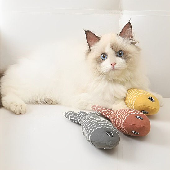 Jouet Poisson Kitty Kick Stick avec herbe à Chat : Votre chat le promènera partout dans la maison