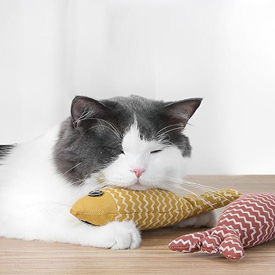 Jouet Poisson Kitty Kick Stick avec herbe à Chat : Votre chat le promènera partout dans la maison