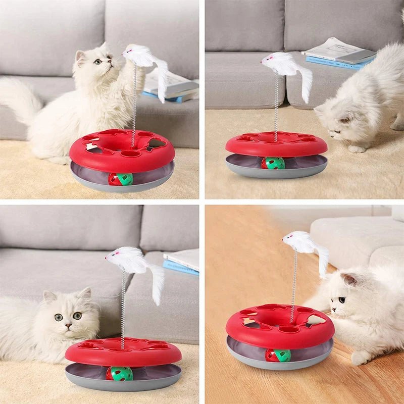 table de jeu pour chaton et chat adulte